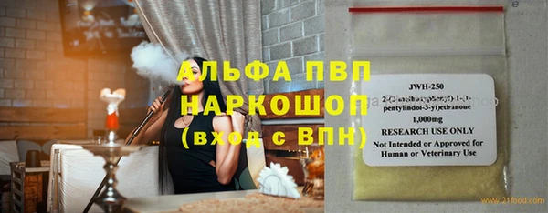 шишки Абаза