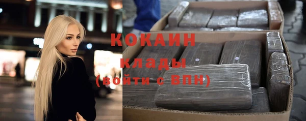 шишки Абаза