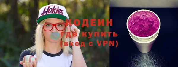 шишки Абаза