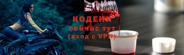 шишки Абаза