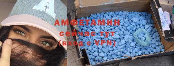 шишки Абаза