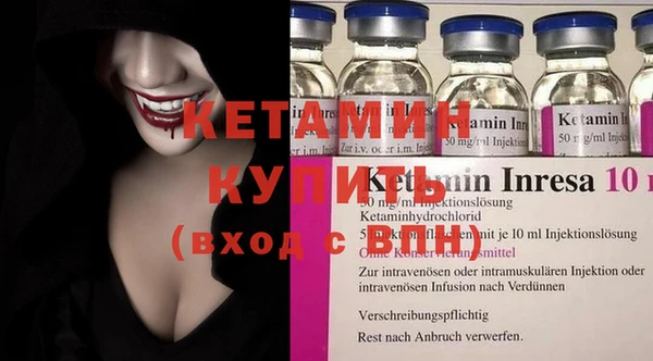 шишки Абаза