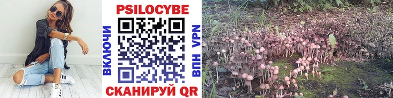 Галлюциногенные грибы Psilocybine cubensis  Агидель 